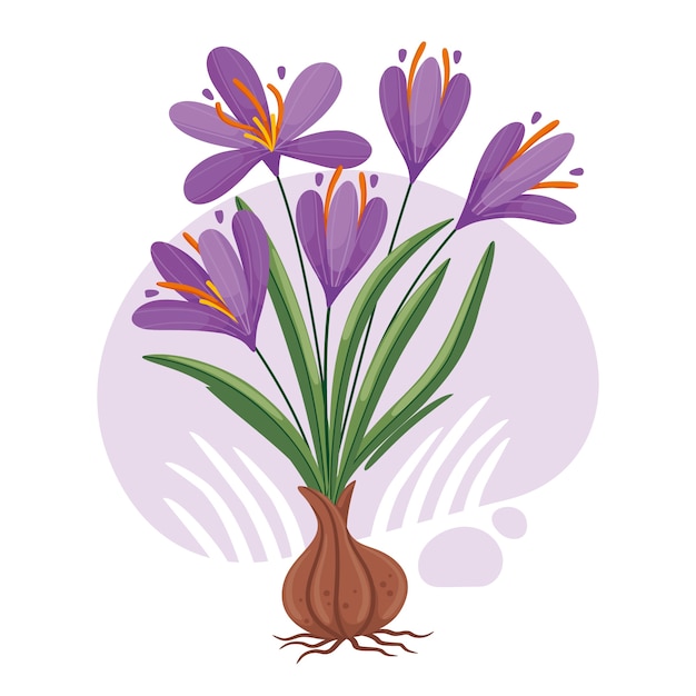 Free Vector hand drawn flat design saffron illustration