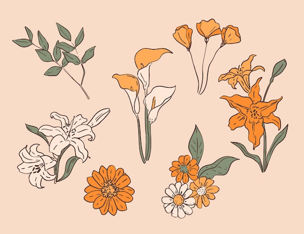 Free Vector hand drawn flower collection