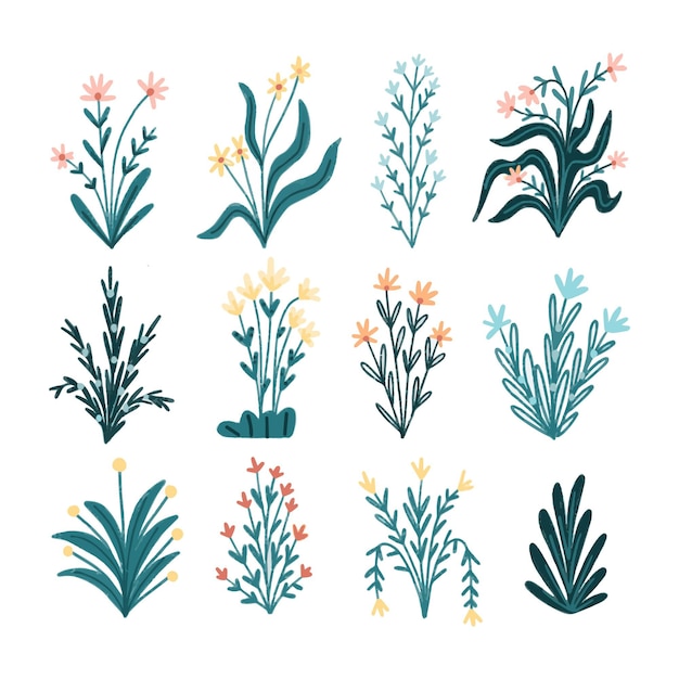 Free Vector hand drawn flower collection