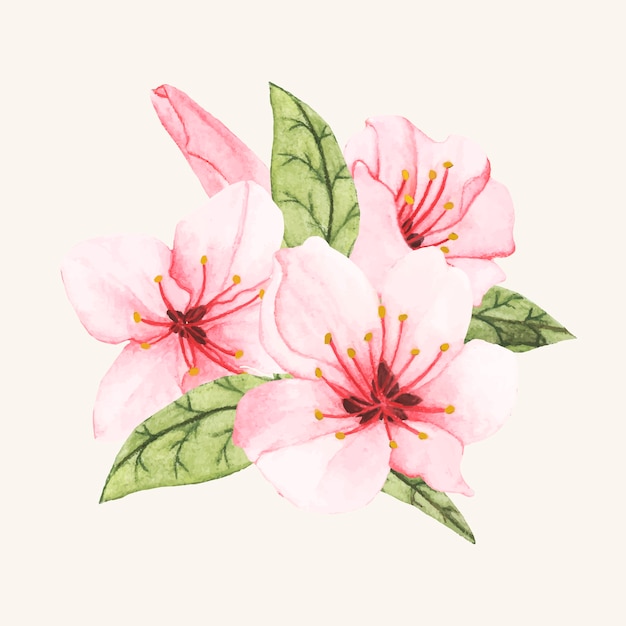 Free Vector hand drawn flower isolated