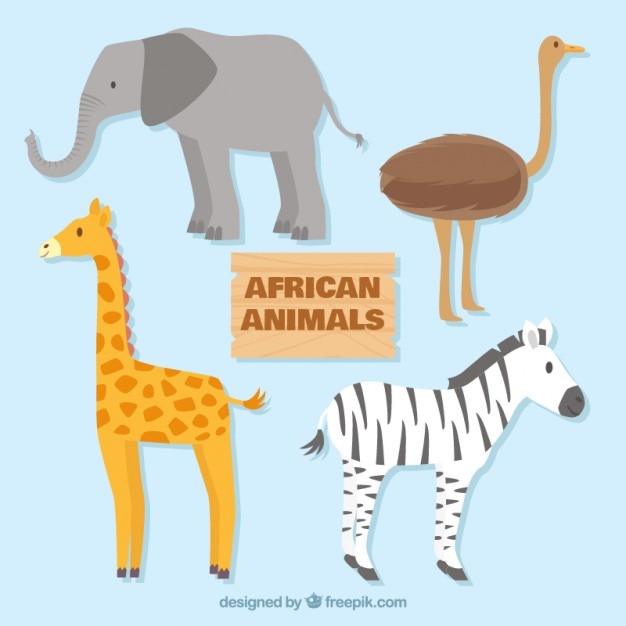 Free Vector hand drawn lovely african animals
