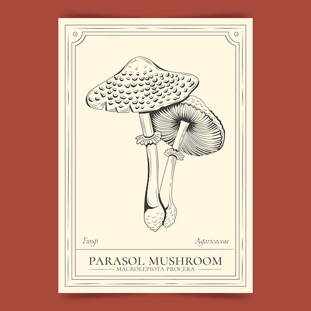 Free Vector hand drawn mushroom outline illustration