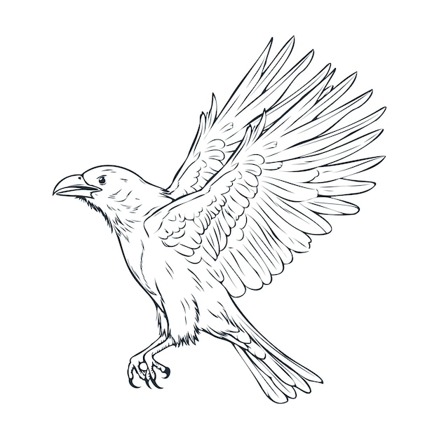 Free Vector hand drawn raven flying drawing illustration