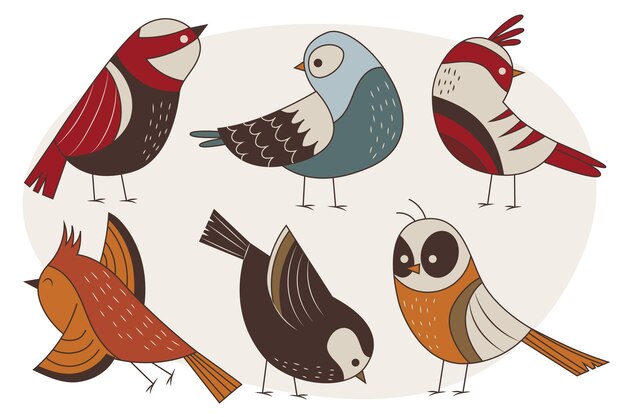 Free Vector hand drawn robin collection
