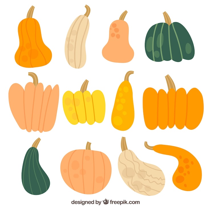 Free Vector hand drawn set of natural pumpkins