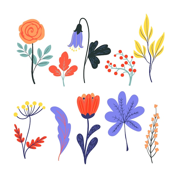 Free Vector hand drawn spring flower collection