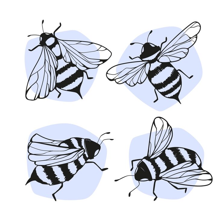 Free Vector hand drawn stencil element collection