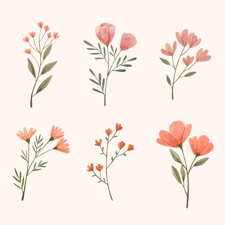 Free Vector hand painted watercolor flower collection