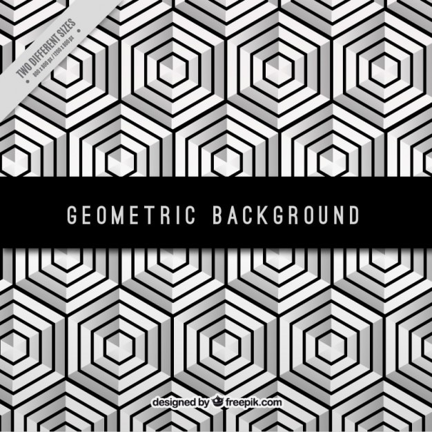 Free Vector hexagonal modern background