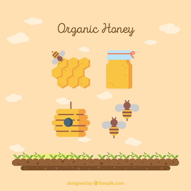 Free Vector honey bee design elements