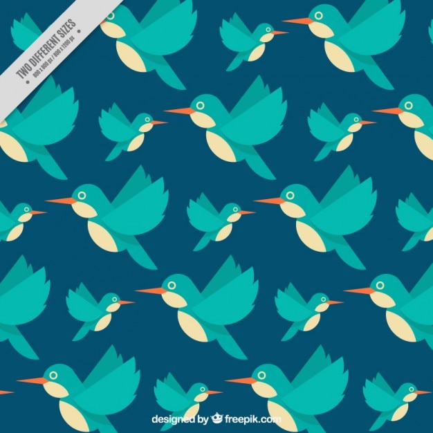 Free Vector hummingbird background in flat design 