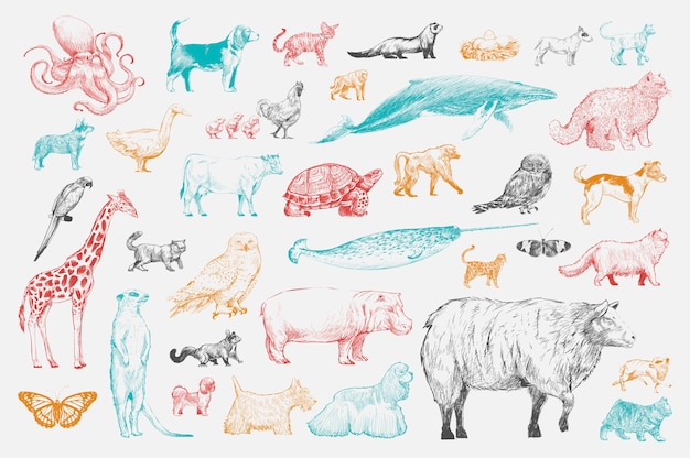 Free Vector illustration drawing style of animal collection