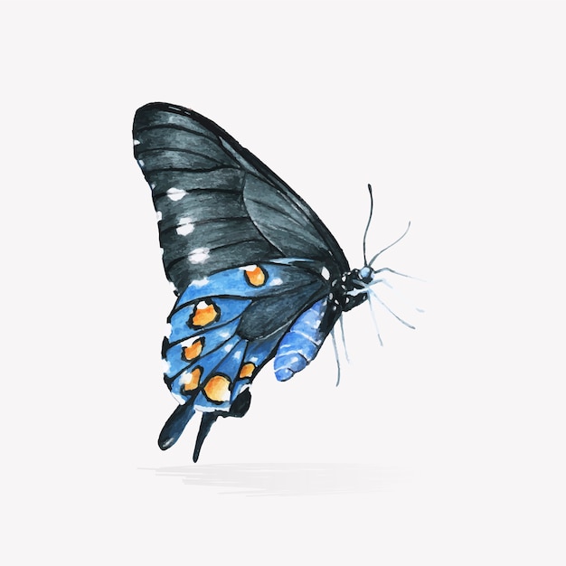 Free Vector illustration of easter festival