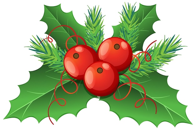 Free Vector isolated holly christmas plant for festive decoration