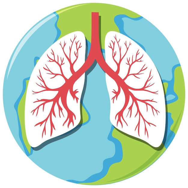 Free Vector lungs human icon vector