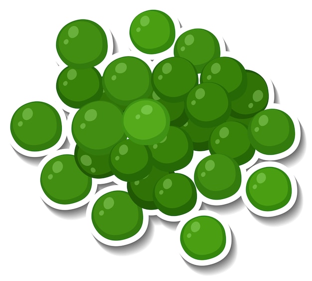Free Vector many green spheres on white background