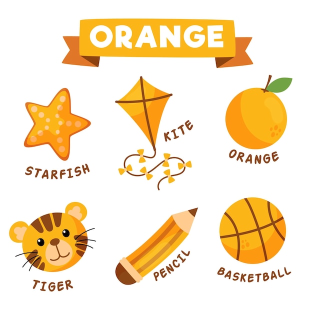 Free Vector orange objects and vocabulary set in english