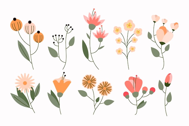 Free Vector organic flat flower collection
