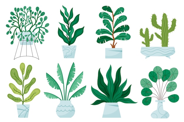 Free Vector organic flat houseplant collection