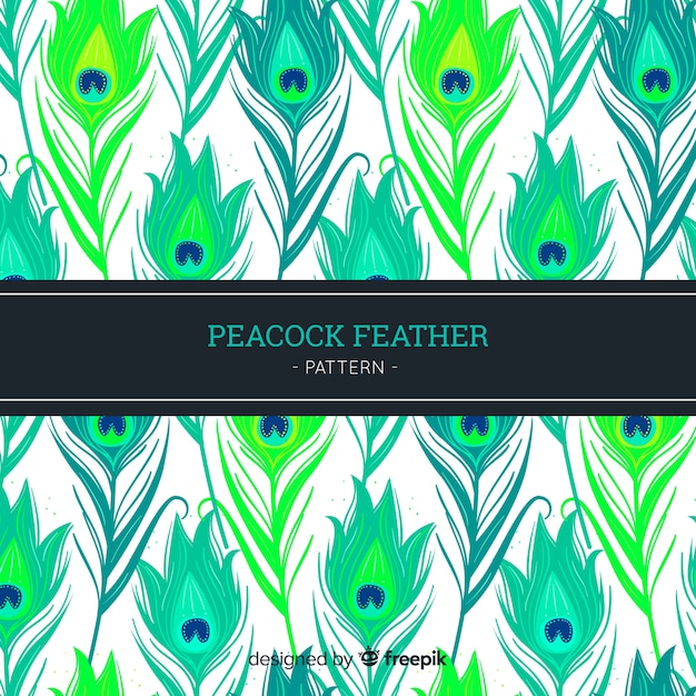 Free Vector peacock feather pattern collection with flat design