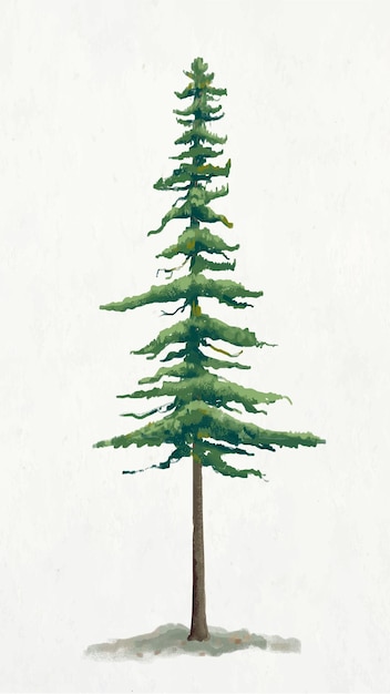 Free Vector pine tree element graphic  on plain background