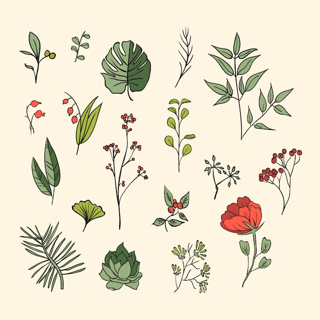 Free Vector plants and herbs icons set. elements for design or invitation card
