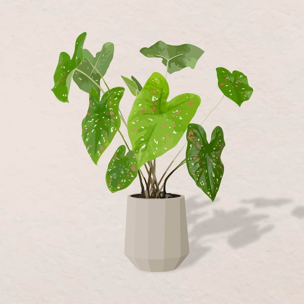 Free Vector potted plant vector, african mask plant potted home interior decoration