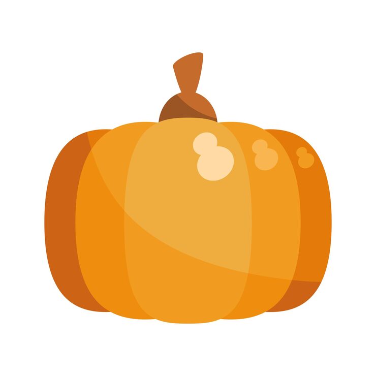 Free Vector pumpkin fruit illustration