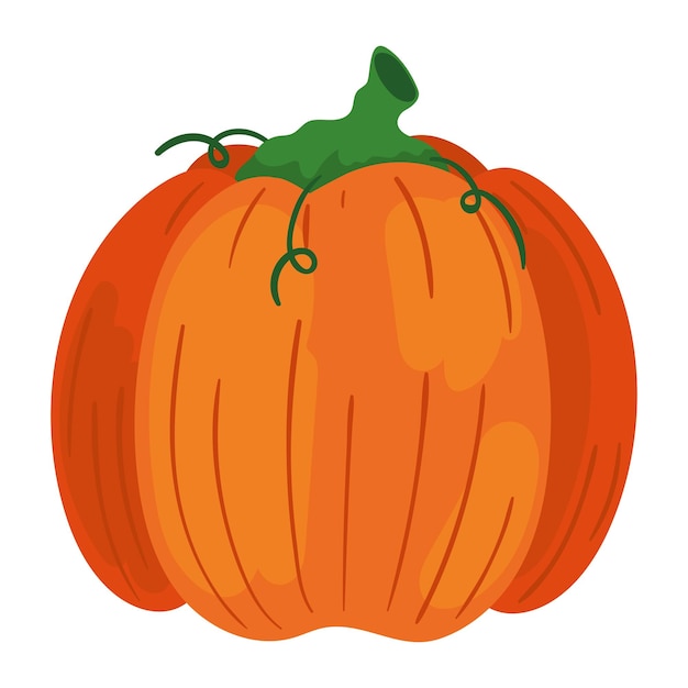 Free Vector pumpkin healthy food