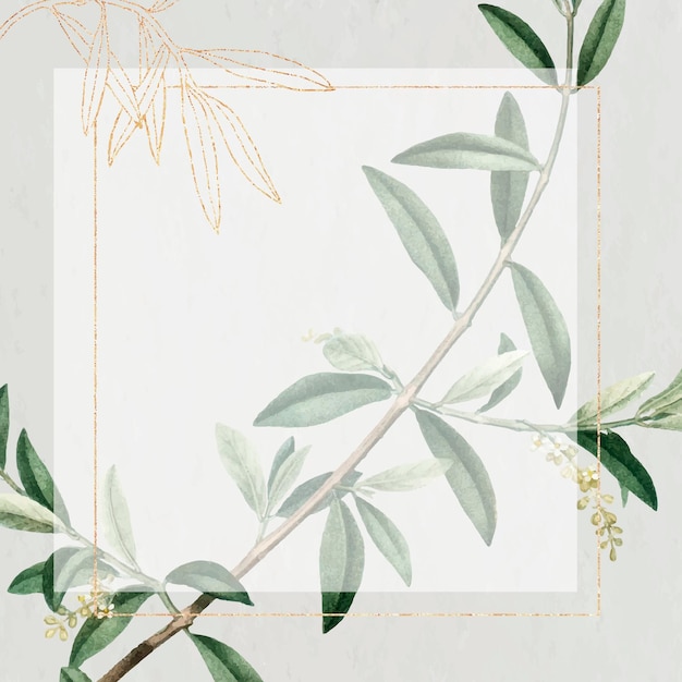 Free Vector rectangle gold frame with olive branch