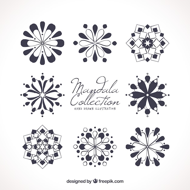 Free Vector set of floral mandalas