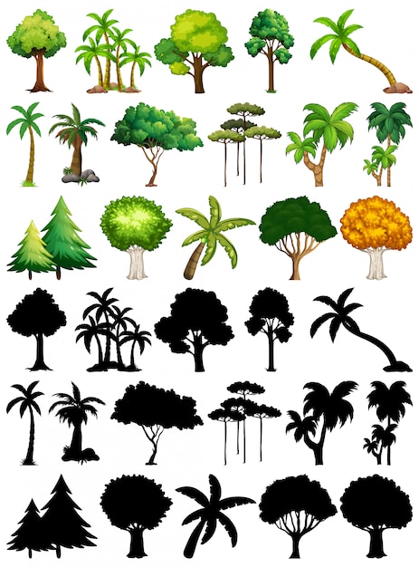 Free Vector set of plant and tree with its silhouette