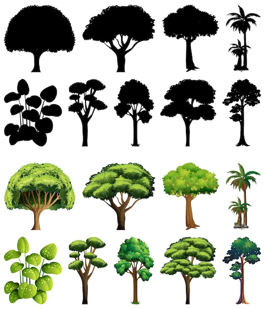 Free Vector set of plant and tree with its silhouette