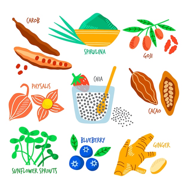 Free Vector set of superfood