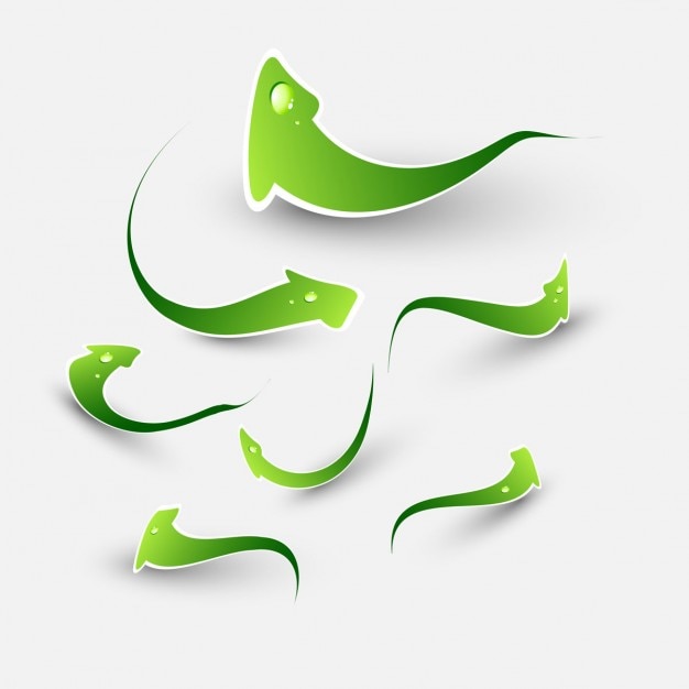 Free Vector shiny green arrows
