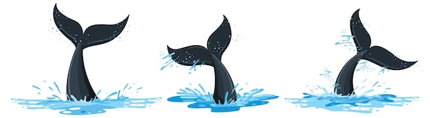Free Vector tails of a whale in the water set