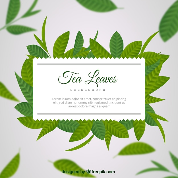 Free Vector tea leaves background in realistic style