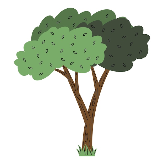 Free Vector tree plant forest
