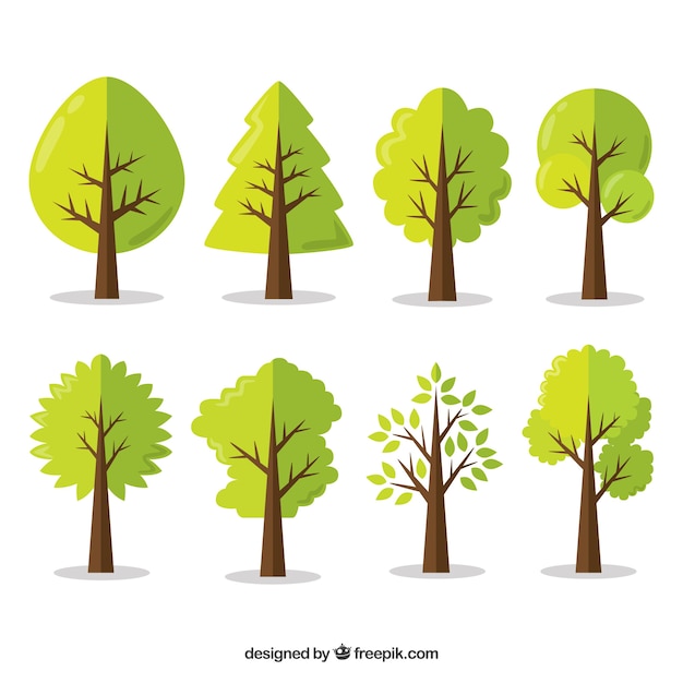 Free Vector trees collection in flat style