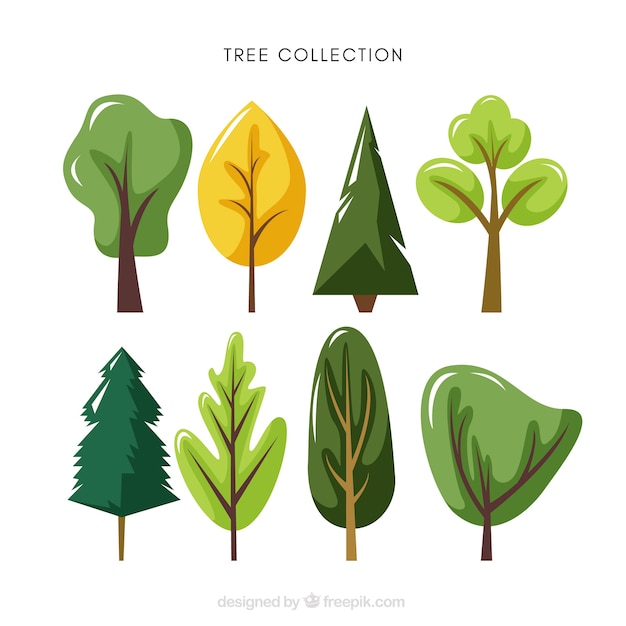 Free Vector trees collection in flat style