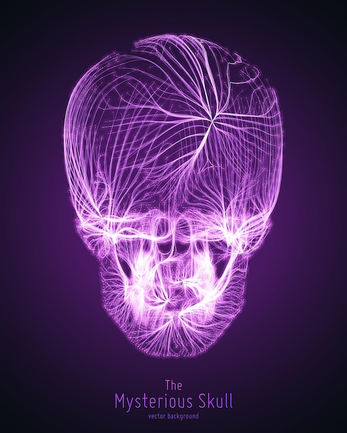 Free Vector vector skull constructed with violet lines mysterious source of life background internet security concept illustration virus or malware abstract visualization hacking big data image
