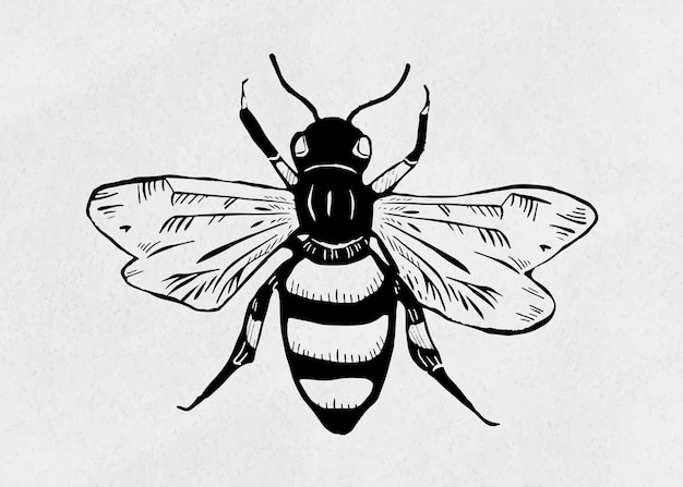 Free Vector vintage bee insect linocut stencil pattern clipart