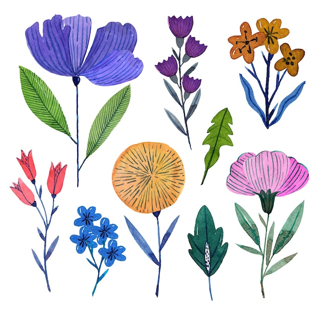 Free Vector watercolor spring flower collection
