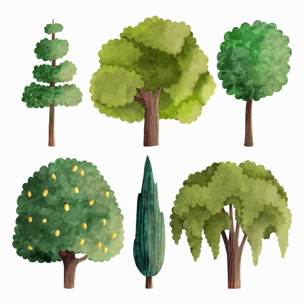Free Vector watercolor type of trees collection