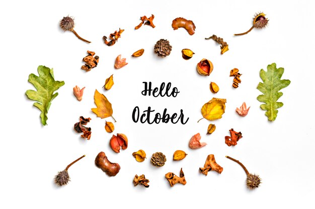 Photo autumn composition from dried leaf, berries