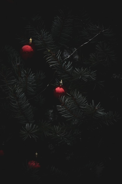 Photo close-up of christmas tree