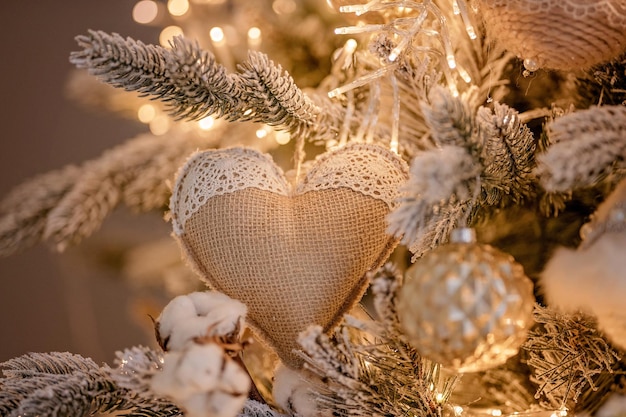 Photo close-up of dry plant in winter