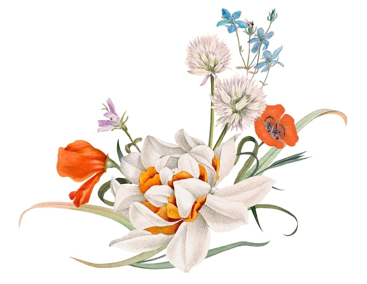 Photo colorful flower png sticker illustration remixed from public domain artworks