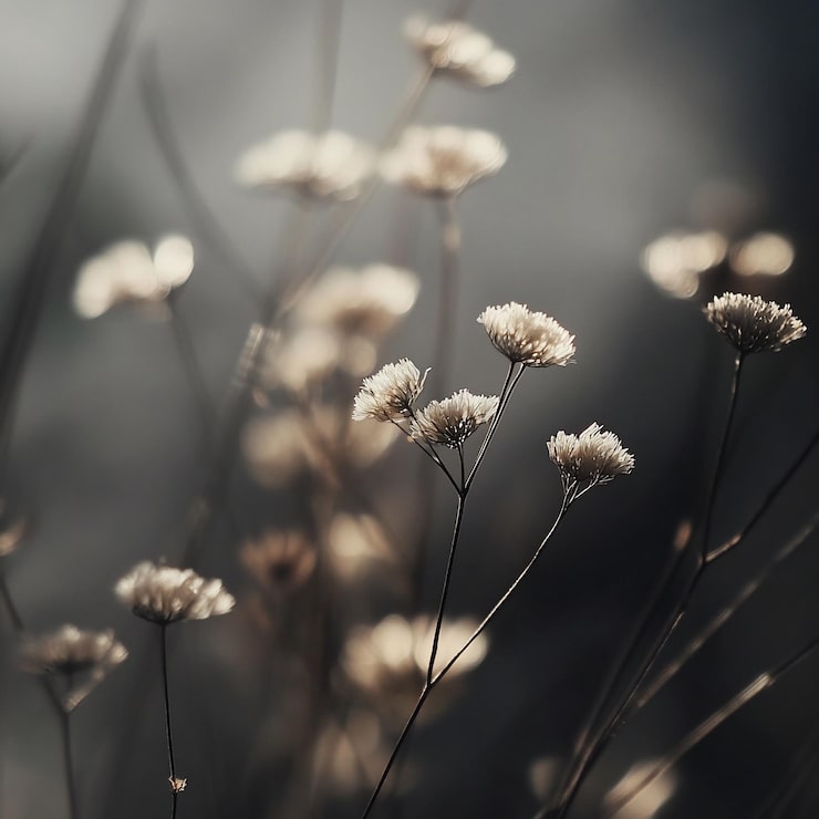 Photo elegant summer closeup with light and shadow in minimalist style