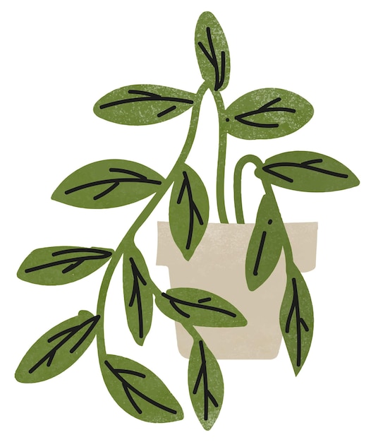 Photo house plant png doodle sticker transparent background
